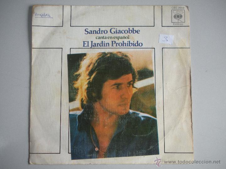 Discos de vinilo: MAGNIFICO SINGLE DE - SANDRO GIACOBBE - - Foto 1