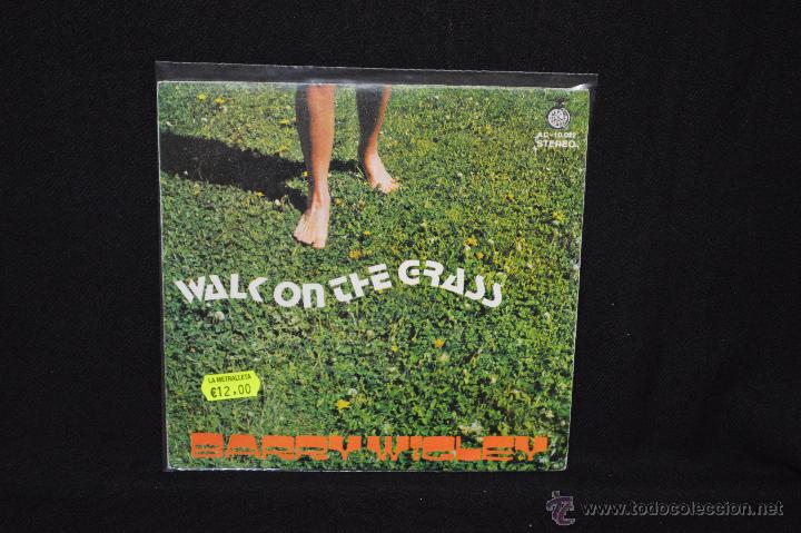 Discos de vinilo: BARRY WIGKEY - WALK IN THE GRASS + 1 - SINGLE - Foto 1