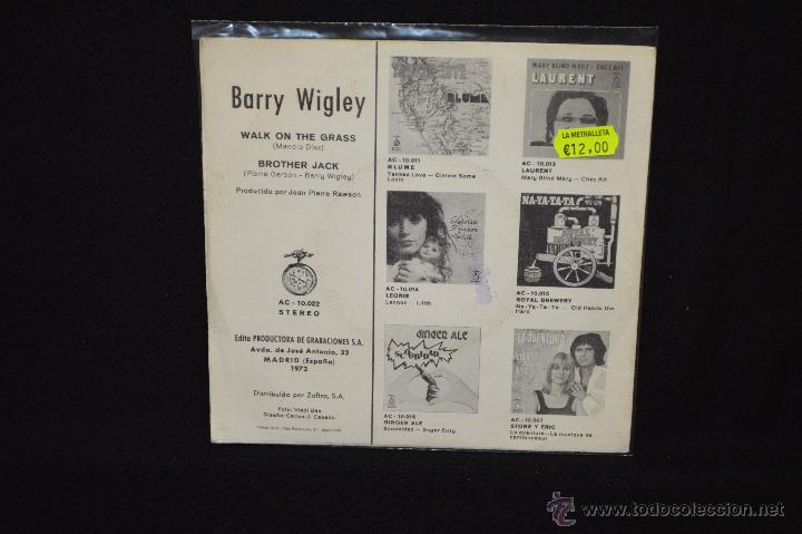 Discos de vinilo: BARRY WIGKEY - WALK IN THE GRASS + 1 - SINGLE - Foto 2