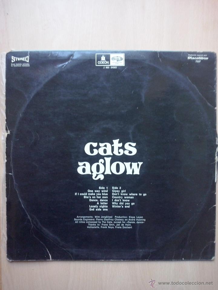 Discos de vinilo: cats - aglow - 1972 odeon discolibro - Foto 2