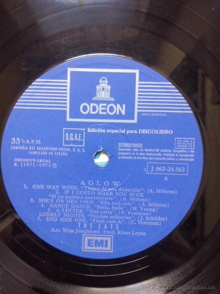 Discos de vinilo: cats - aglow - 1972 odeon discolibro - Foto 3