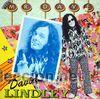 Discos de vinilo: DAVE LINDLEY, MR. DAVE, WEA - Foto 1