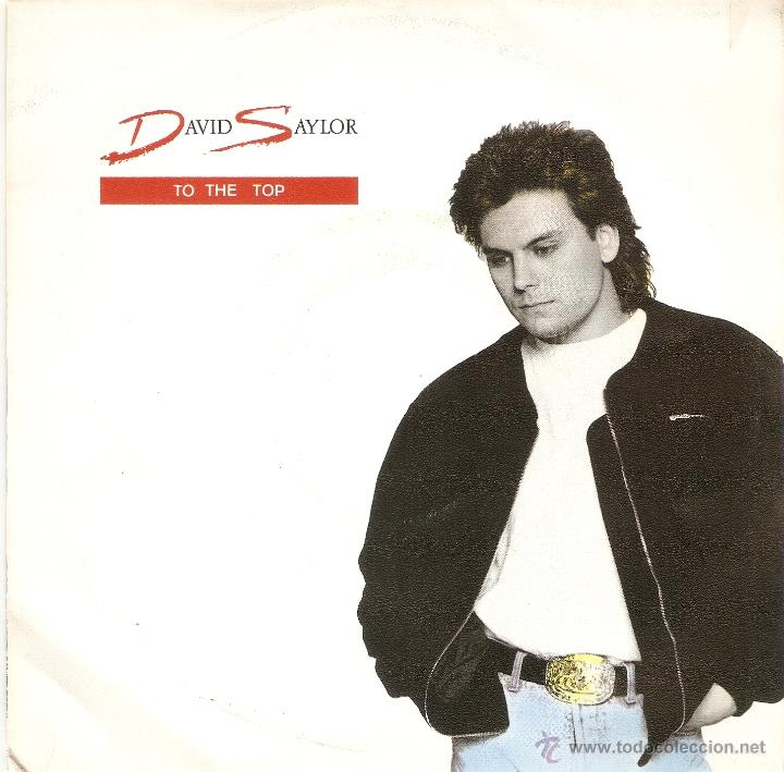 Discos de vinilo: Vendo Single de David Saylor, A&ntilde;o 1990. - Foto 1