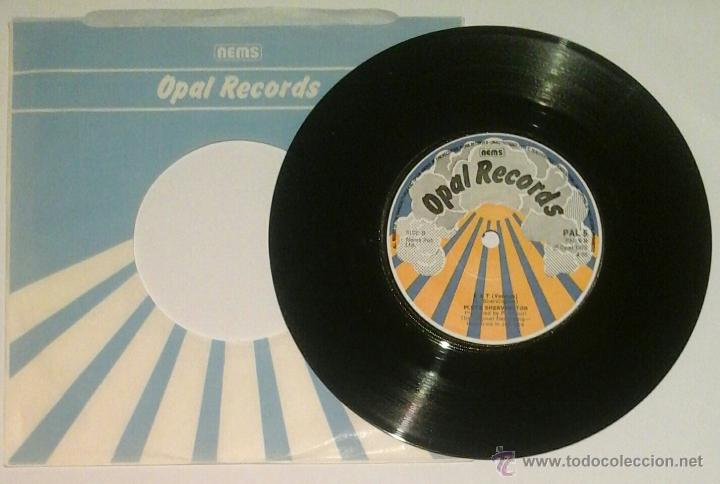 Discos de vinilo: PLUTO SHERVINGTON -SG- DAT UK 1976 - Foto 1