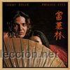 Discos de vinilo: TOMMY BOLIN, PRIVATE EYES, CBS CB 271 - Foto 1
