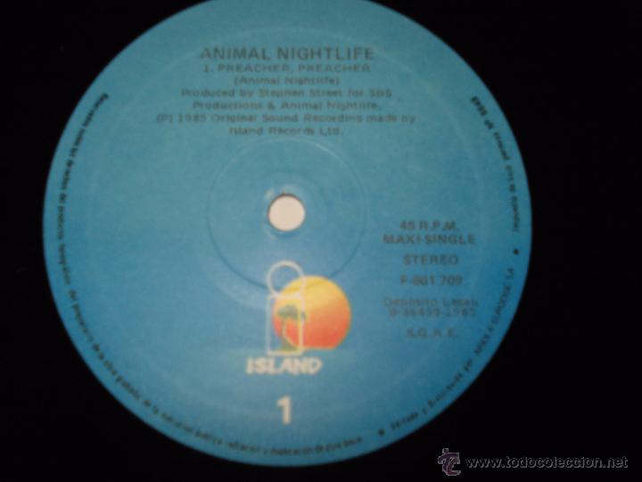 Discos de vinilo: ANIMAL NIGHTLIFE / PREACHER, PREACHER - Foto 2
