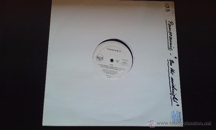 Discos de vinilo: Panoramic - In The Midnight - 1993 - Foto 1