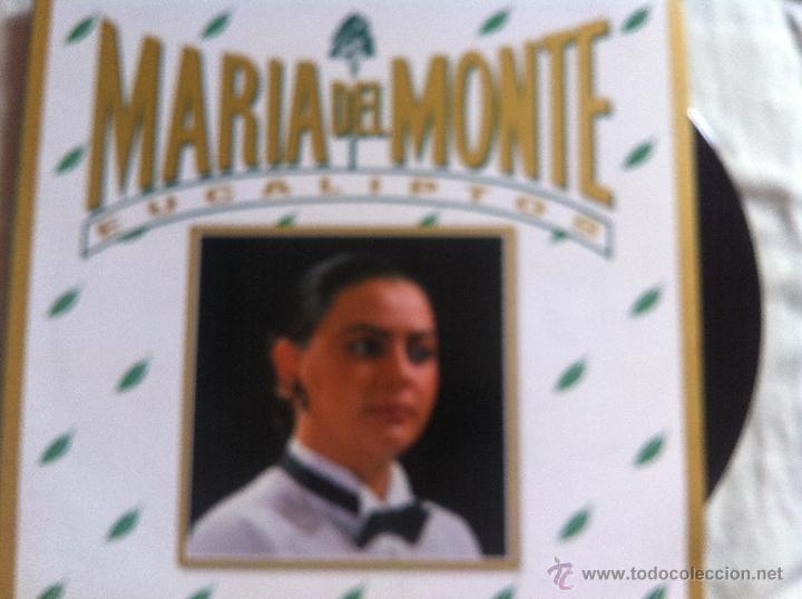 Discos de vinilo: MAXI MARIA DEL MONTE-EUCALIPTOS - Foto 1