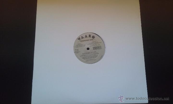 Discos de vinilo: Rhythmic Entity - A Better Day - 1994 - Foto 1
