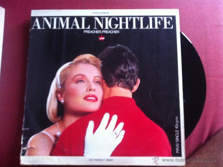 Discos de vinilo: 12 MAXI-ANIMAL NIGHTLIFE - Foto 1