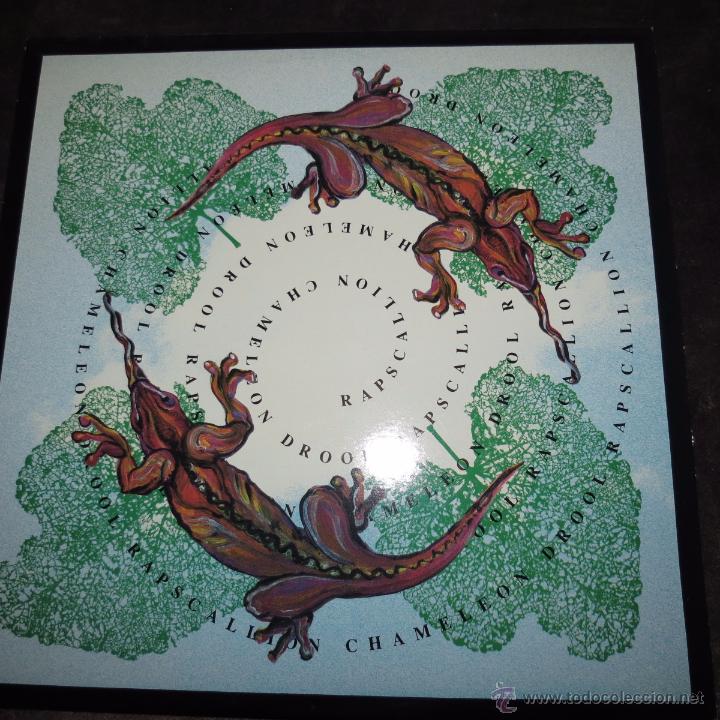 Discos de vinilo: rapscallion - chamaleon drool - Foto 1