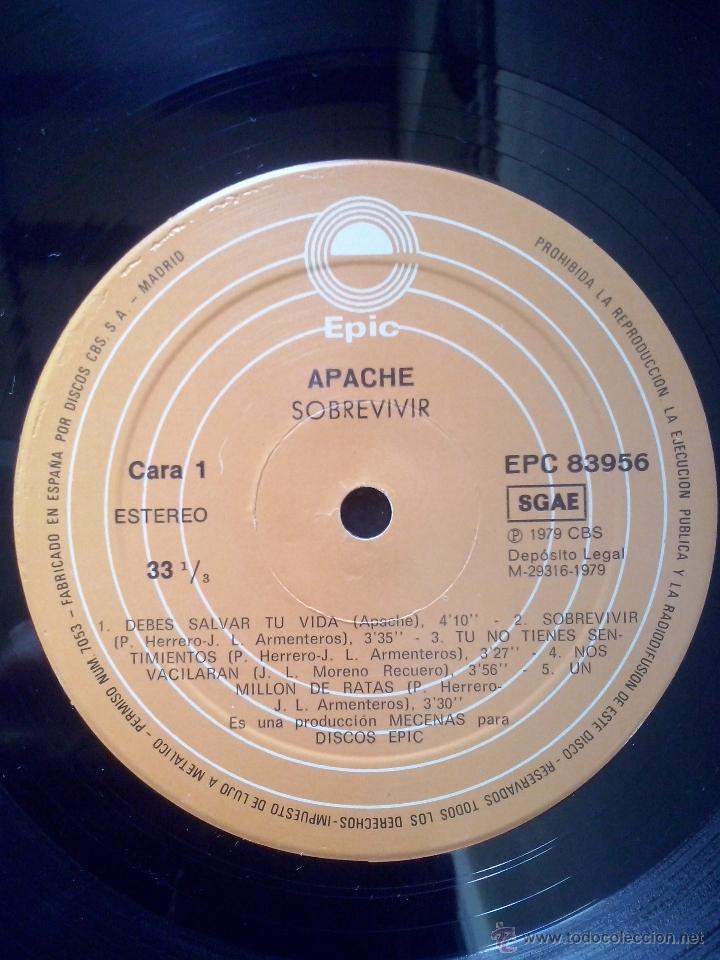 Discos de vinilo: apache- sobrevivir- lp epic 1979 - Foto 3