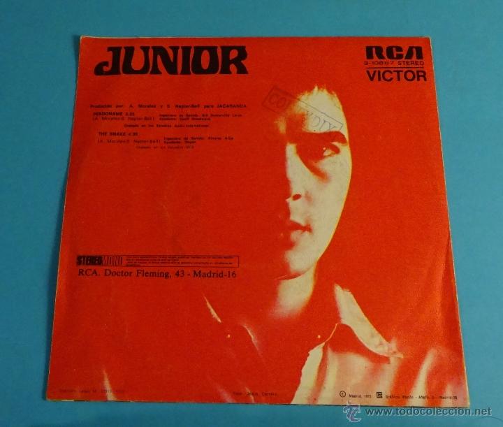 Discos de vinilo: JUNIOR. PERD&Oacute;NAME. THE SNAKE - Foto 2