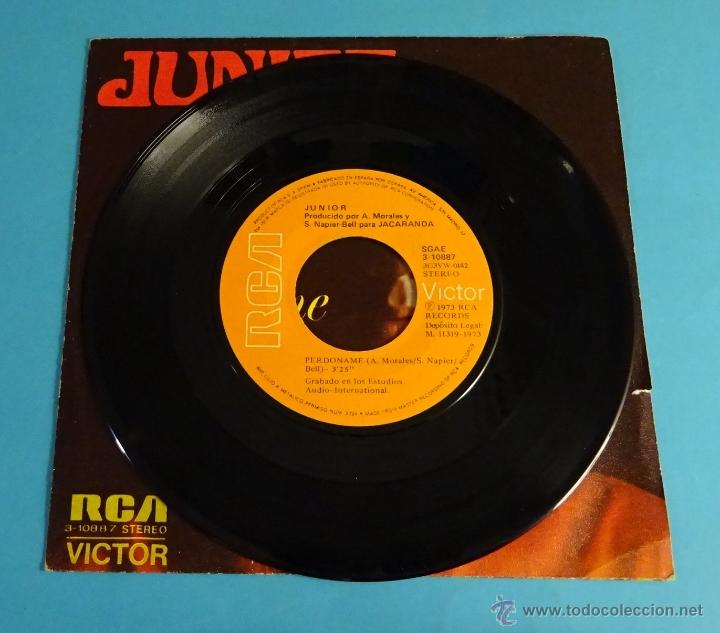 Discos de vinilo: JUNIOR. PERD&Oacute;NAME. THE SNAKE - Foto 4