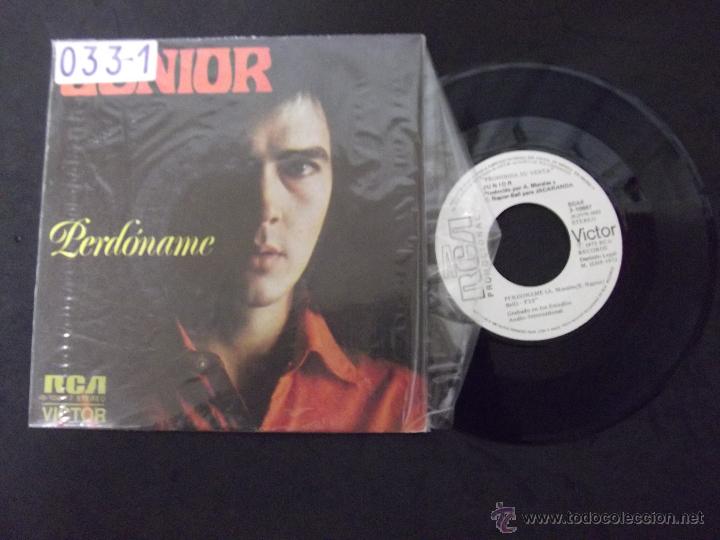 Vinyl-Schallplatten: JUNIOR-DISCO SINGLE-45RPM-SG7-PERDONAME-THE SNAKE-1973-PROMOCIONAL