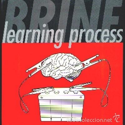 Discos de vinilo: Brine--Learning Process-punk hard core 1996 - Foto 1