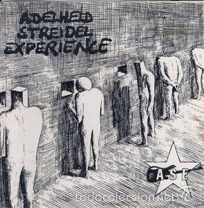 Discos de vinilo: Adelheid Streidel Experience----punk hard core aleman 1993 - Foto 1