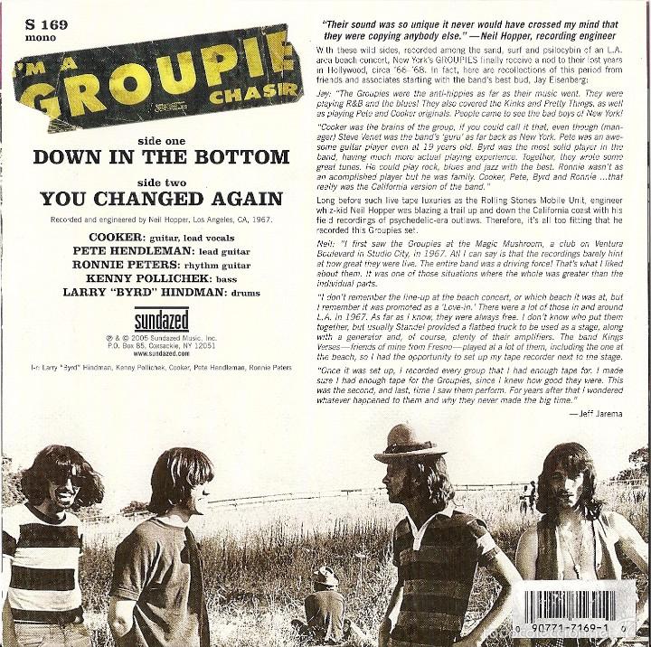 Discos de vinilo: GROUPIES, THE: DOWN IN THE BOTTOM / YOU CHANGED AGAIN - Foto 2