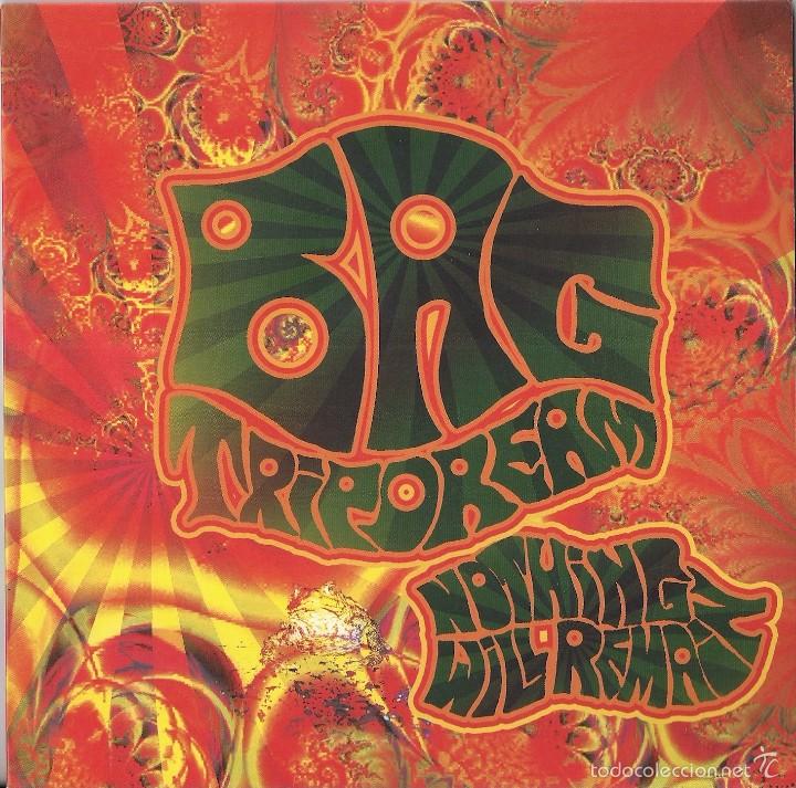 Discos de vinilo: BAG: TRIPDREAM / NOTHING WILL REMAIN - Foto 1