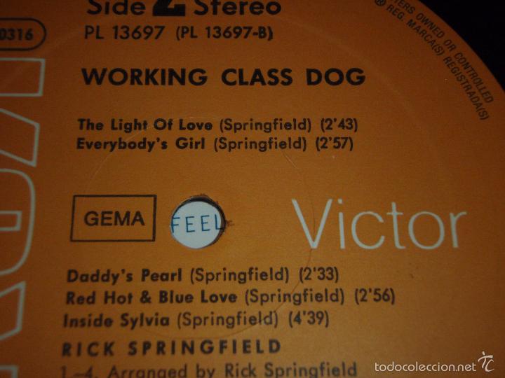 Discos de vinilo: RICK SPRINGFIELD ( WORKING CLASS DOG ) GERMANY-1981 LP33 RCA - Foto 6