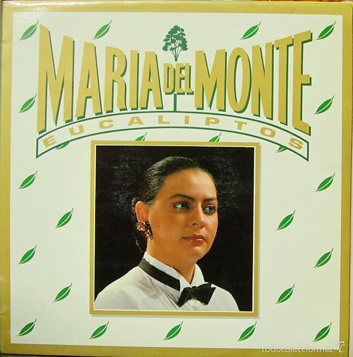 Discos de vinilo: MARIA DEL MONTE-EUCALIPTOS MAXI SINGLE VINILO 1989 SPAIN - Foto 1