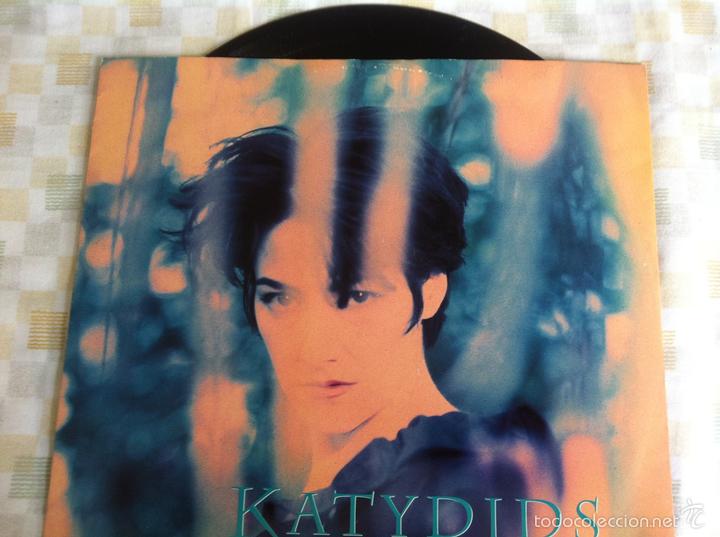 Discos de vinilo: 12 MAXI-KATYDIDS-THE BOY WHOS NEVER FOUND - Foto 1