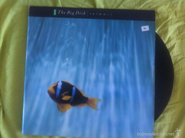Discos de vinilo: LP THE BIG DISH-SWIMMER - Foto 1