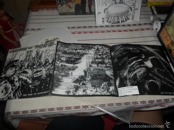 Discos de vinilo: DISAGREE EVOLUTION OF REGRESSION - Foto 2