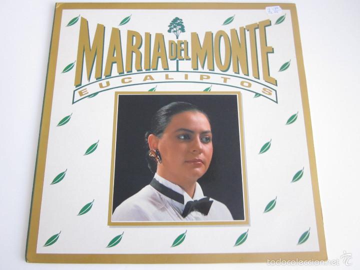 Discos de vinilo: Maria del Monte - Eucaliptos - Foto 1