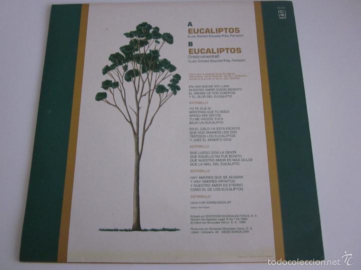 Discos de vinilo: Maria del Monte - Eucaliptos - Foto 2