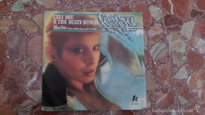 Discos de vinilo: CELI BEE & THE BUZZY BUNCH &middot; MACHO (A REAL, REAL ONE) / ALTERNATING - Foto 1