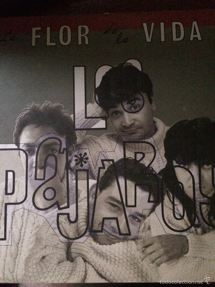 Discos de vinilo: LOS PAJAROS-LA FLOR DE LA VIDA-NUEVO - Foto 1