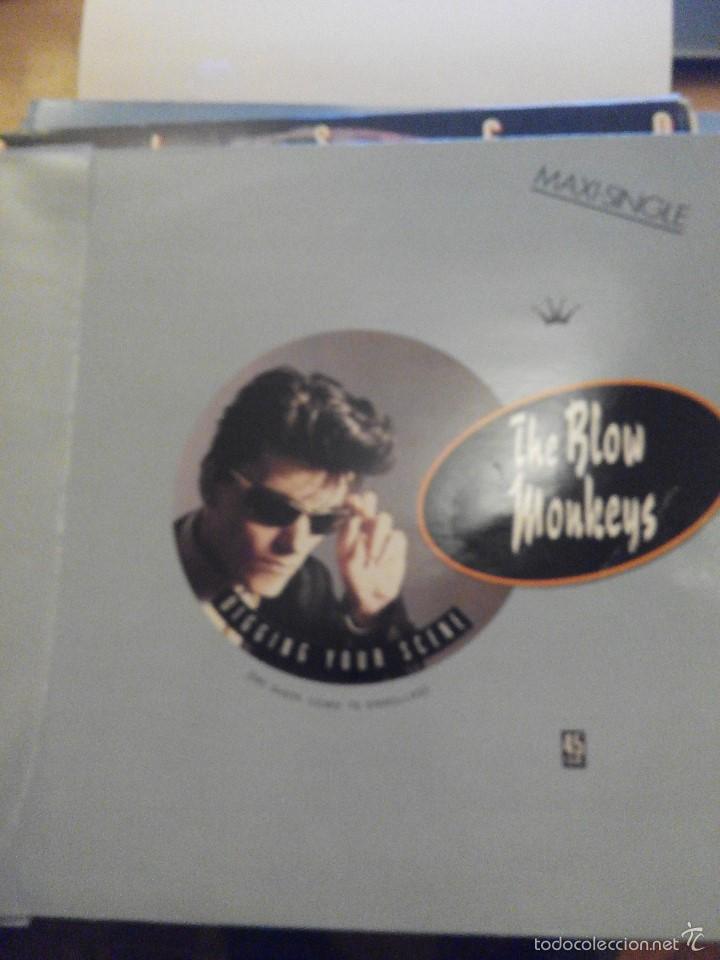 Discos de vinilo: THE BLOW MONKEYS - DIGGING YOUR SCENE- MAXI SINGLE VINILO - Foto 1