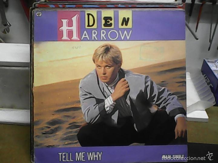 Discos de vinilo: DEN HARROW	TELL ME WHY - Foto 1