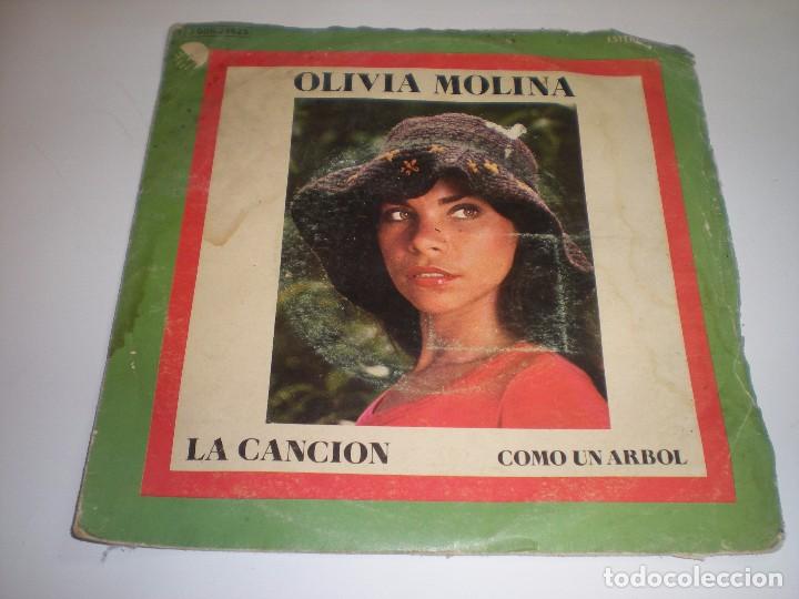 Discos de vinilo: OLIVIA MOLINA: LA CANCION, COMO UN ARBOL - Foto 1