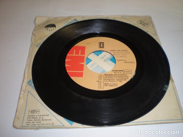 Discos de vinilo: OLIVIA MOLINA: LA CANCION, COMO UN ARBOL - Foto 3