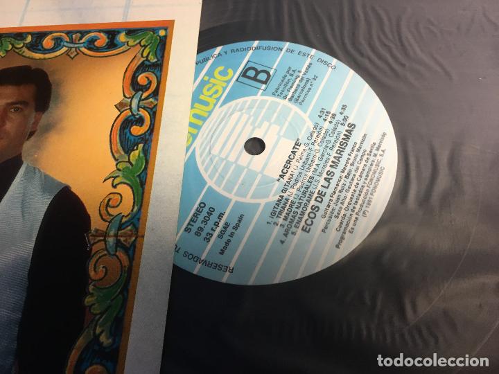 Discos de vinilo: ECOS DE LAS MARISMAS (ACERCATE) LP ESPA&Ntilde;A 1991 (B-15) - Foto 2