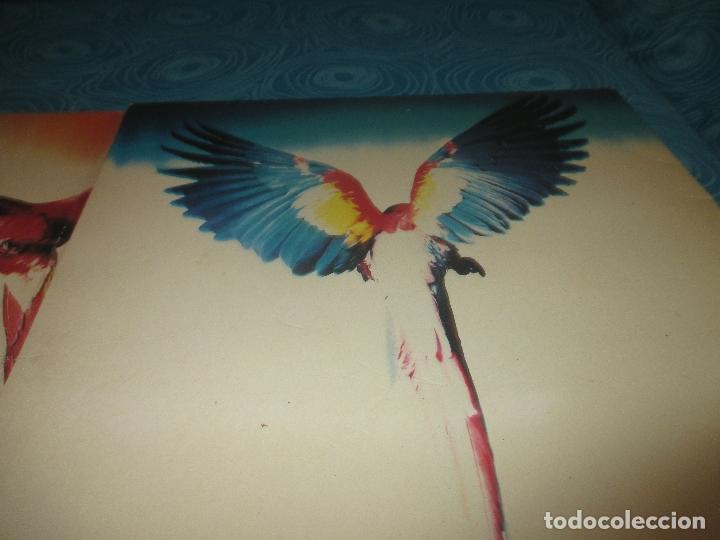 Discos de vinilo: LP MECANO, DESCANSO DOMINICAL CON LETRAS ( REF 3 ) - Foto 7
