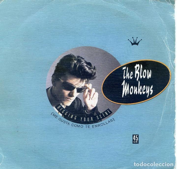 Discos de vinilo: The Blow Monkeys - Foto 1