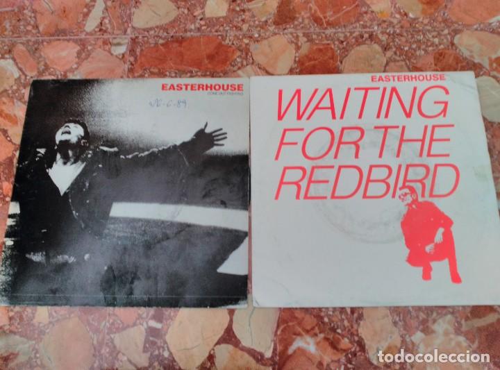 Discos de vinilo: EASTERHOUSE 2 SINGLES - Foto 1