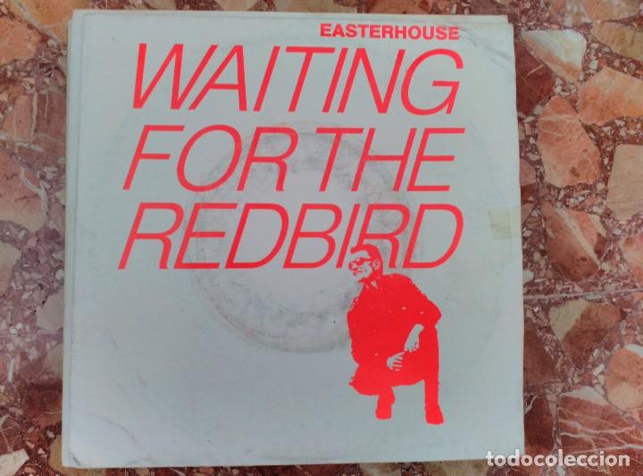 Discos de vinilo: EASTERHOUSE 2 SINGLES - Foto 3