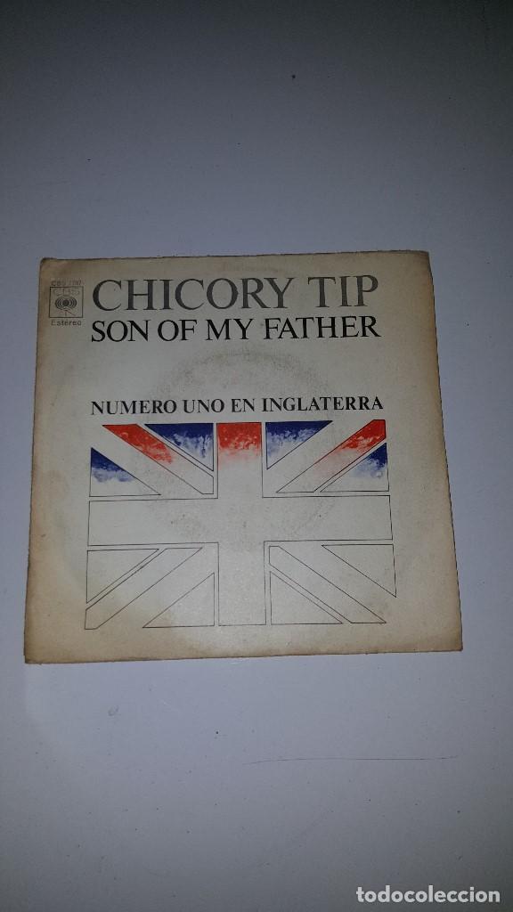 Discos de vinilo: CHICORY TIP - Foto 1