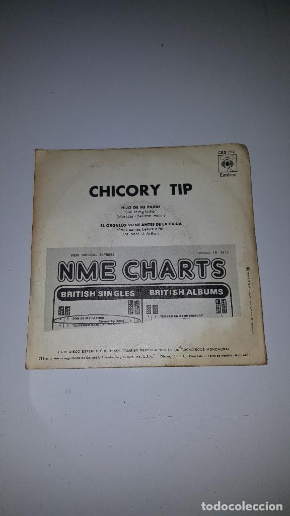 Discos de vinilo: CHICORY TIP - Foto 2