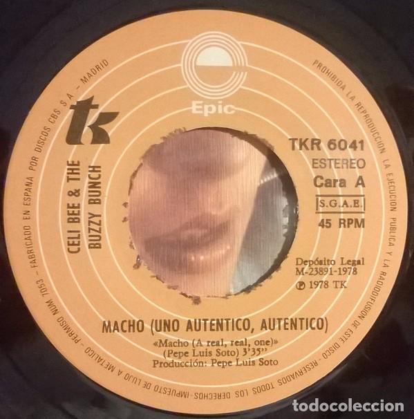 Discos de vinilo: Celi Bee and the Buzzy Bunch , Macho, TKR 6041 - Foto 1