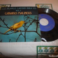 Discos de vinilo: LOS PAJAROS CANTAN PARA VD CANARIO MALINOIS