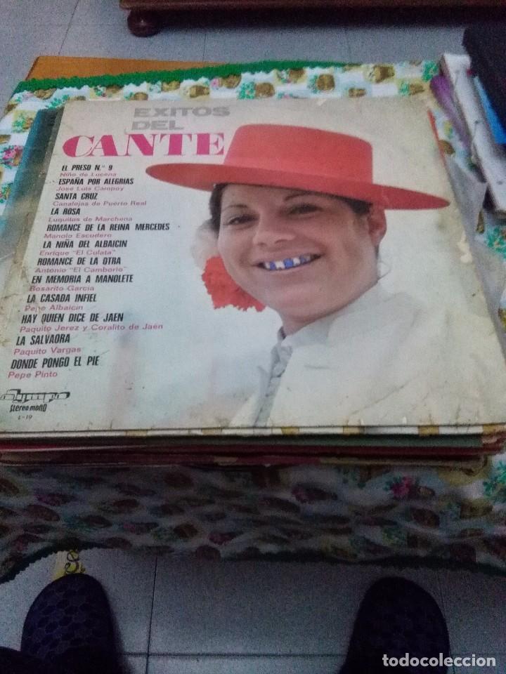 Discos de vinilo: EXITOS DEL CANTE. VARIO ARTISTA C8V - Foto 1