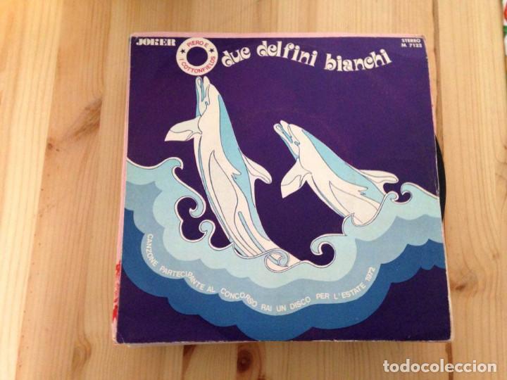 Discos de vinilo: Piero E I Cottonfields - Due Delfini Bianchi (7-single)- - Foto 1