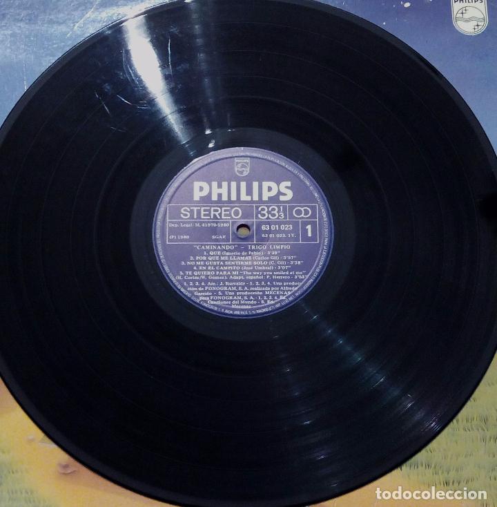 Discos de vinilo: LP TRIGO LIMPIO - CAMINANDO - PHILIPS 1980. - Foto 3
