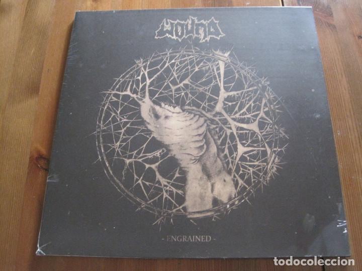 Discos de vinilo: WOUND - ENGRAINED - LP FDA 2017 NUEVO - Foto 1