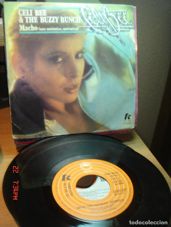 Discos de vinilo: CELI BEE & THE BUZZY BUNCH - MACHO / CORRIENTES ALTERNAS - SINGLE 1978 - Foto 1